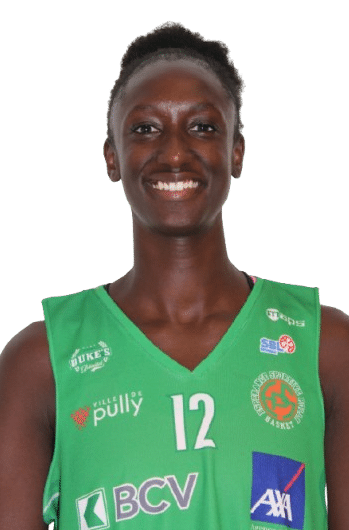 IMG 7412 Removebg Preview